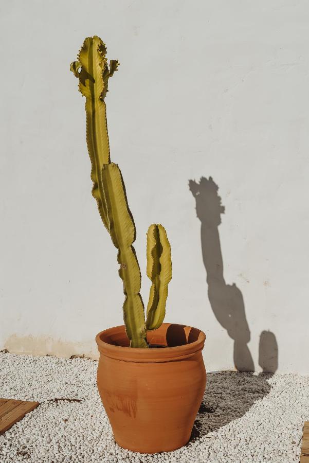 Comares Finca Elements מראה חיצוני תמונה