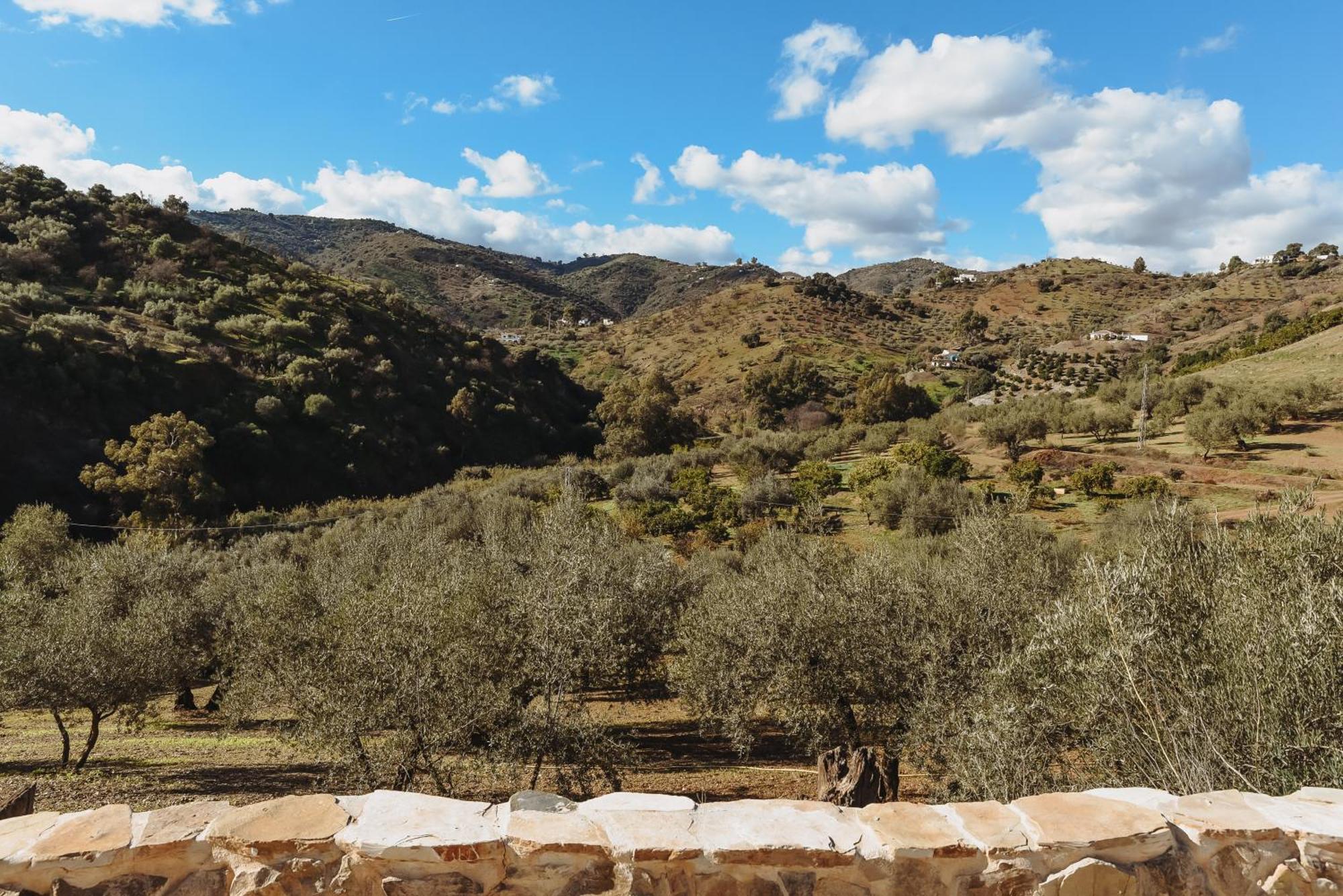 Comares Finca Elements מראה חיצוני תמונה